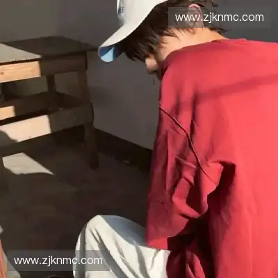 梅鹃仪